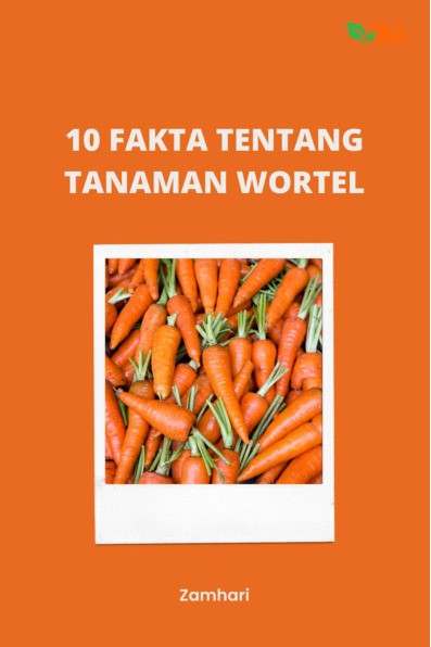 10 Fakta Tentang Tanaman Wortel
